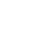 Mobile Icon